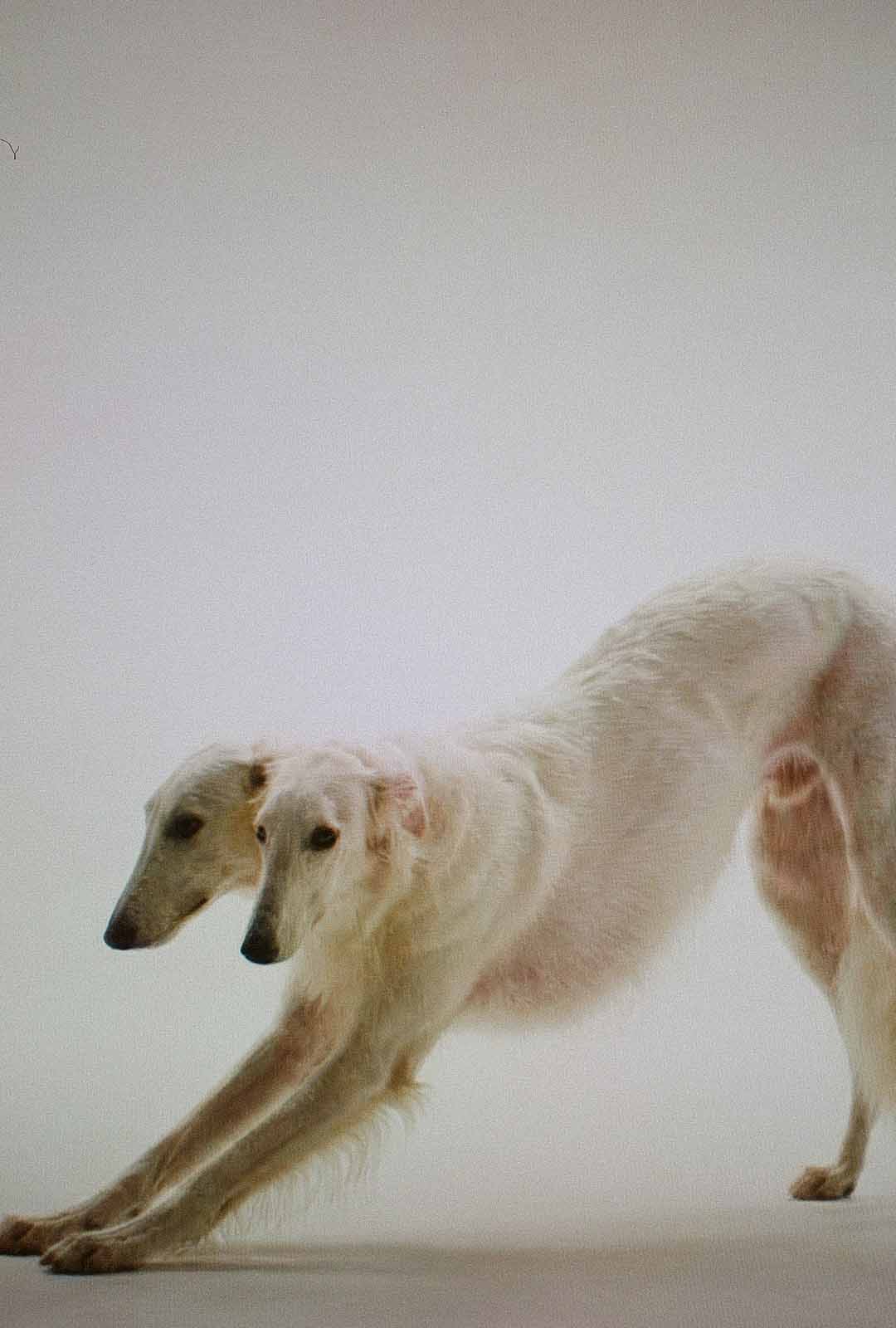 1080×1600 6